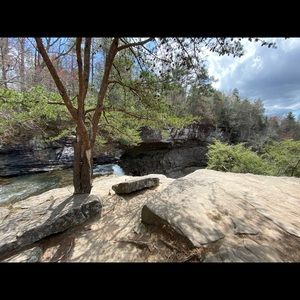 Meet your Posher, Wendy